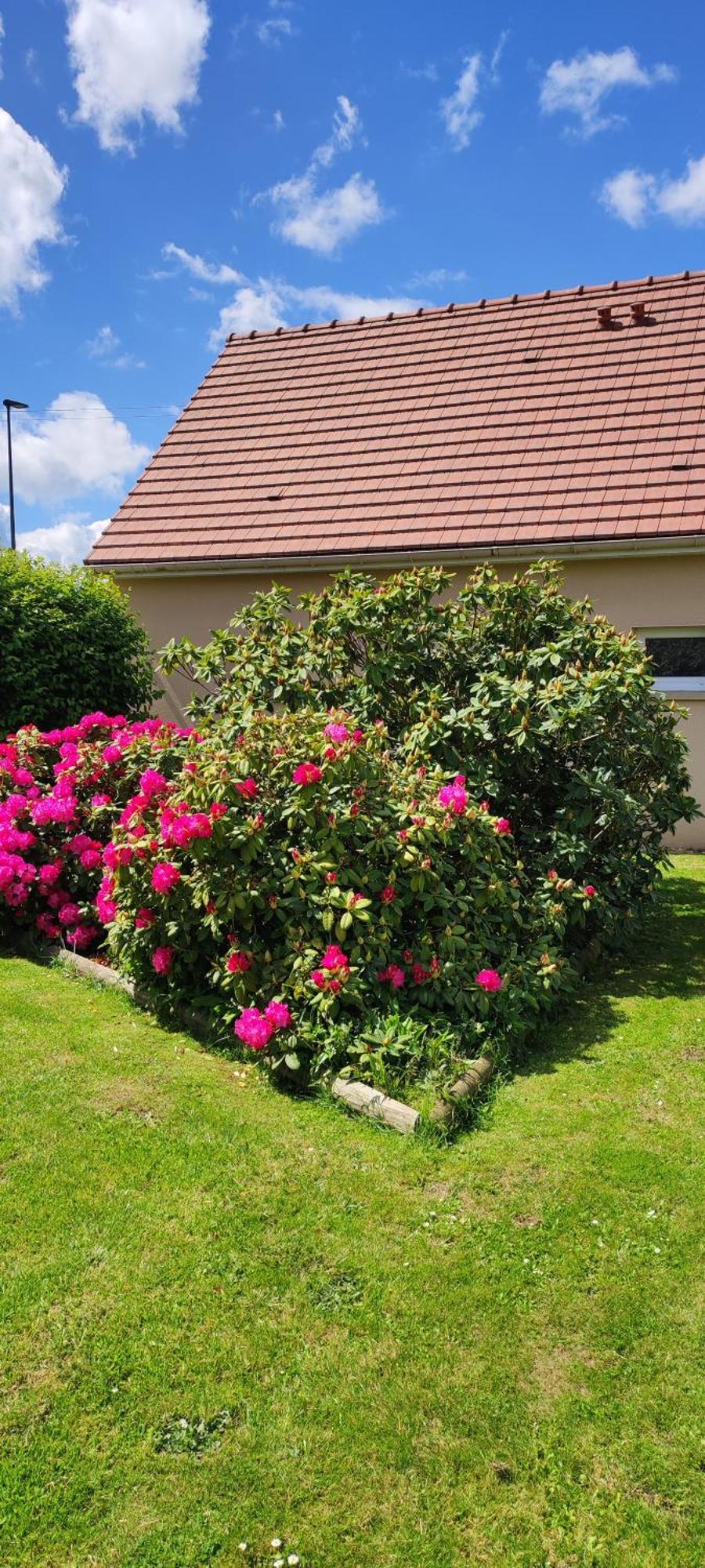 Le Ptit Normand Entre Ville & Plages Loucelles Esterno foto